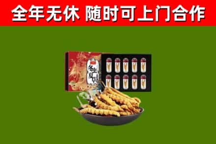 鹿邑县回收冬虫夏草价格
