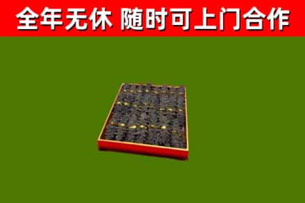 鹿邑县回收海参